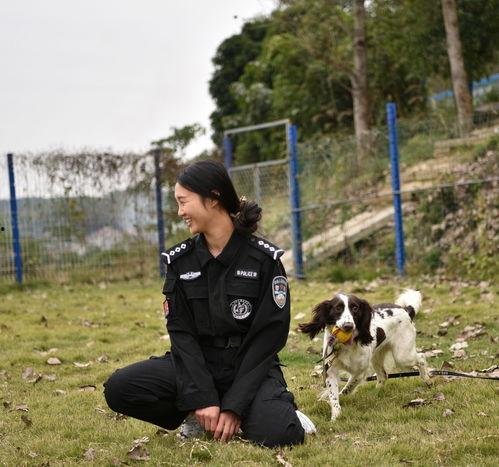 警花与警犬-在线观看,热血守护，共筑平安防线  第3张