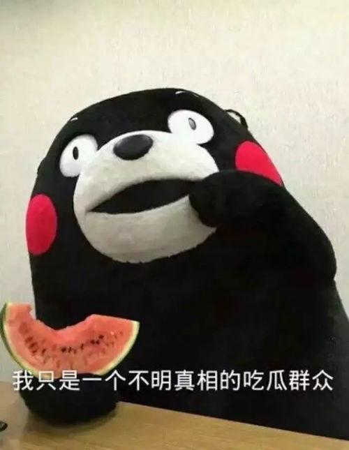 吃瓜群众二哈舔屏视频免费观看,吃瓜群众狂欢时刻！  第2张