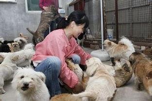 狗狗救助站爆料视频,感人视频揭露救助站真实面貌